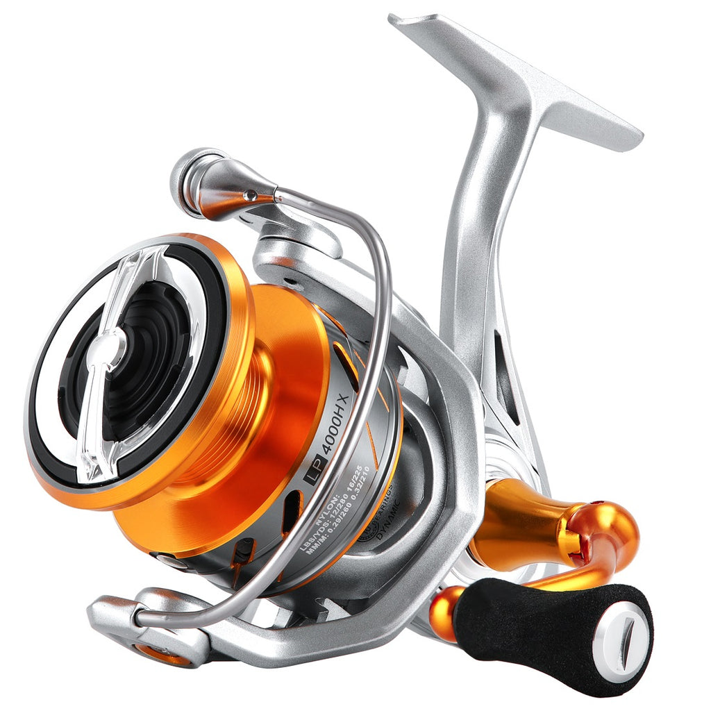 Fishing Reels – All Fish All Day